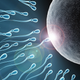 Illustration for article titled Science Confirms That With Sex, Size Actually Does Matter